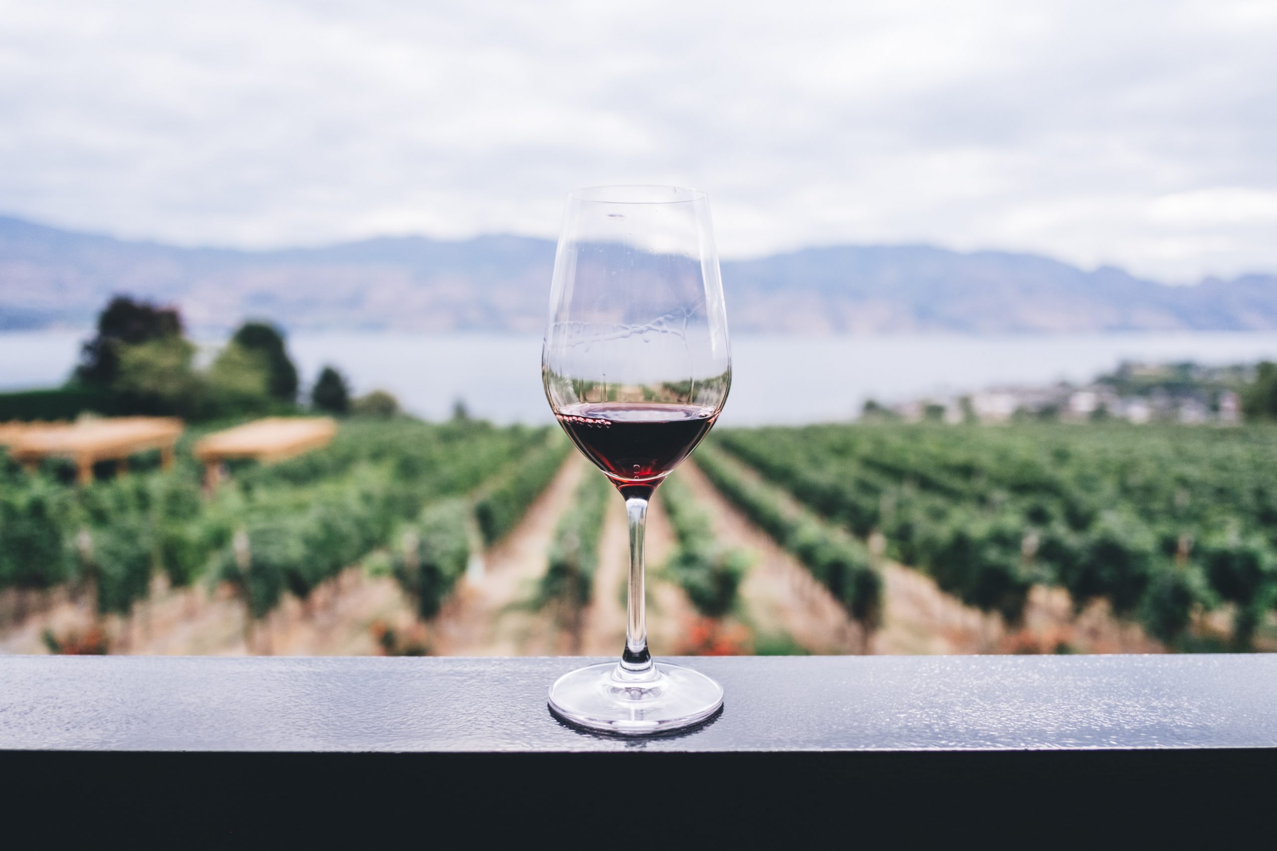 3 Wineries to Visit in BC